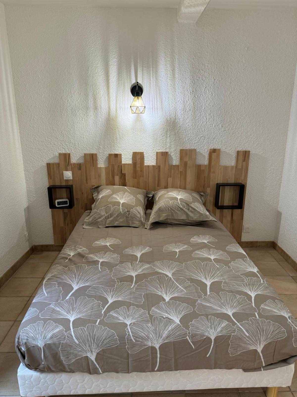 Charmant Appartement En Hypercentre De Castelnaudary Buitenkant foto